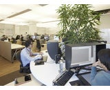 株式会社アマナホールディングス