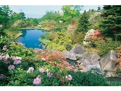 野山の草花が息づく、しあわせの森「赤城自然園」 4月7日(土)より春の開園