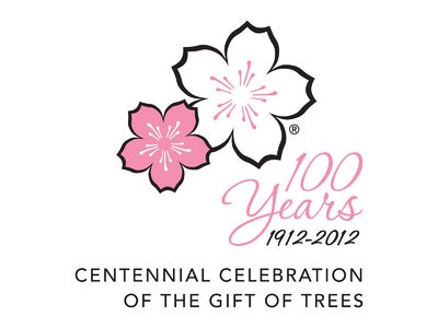 日米桜フェスティバルの開催