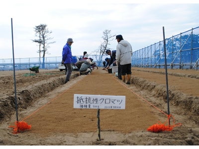被災地住民による海岸林再生活動スタート　4月26日 育苗場お披露目式開催