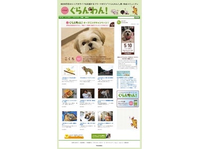 犬の社会も高齢化！話題のシニア犬フリーマガジンがWEBコミュニティマガジンをオープン。
