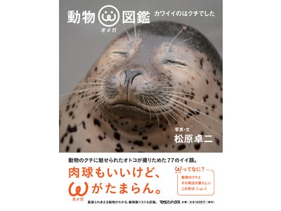 webサービス“BCCKS”ユーザー作品が実際の写真集としてマガジンハウスより本日発売！