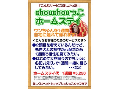 犬も人もみんな幸せ。ペット購入前にホームステイで相性チェック！ペットブームを支える！失敗しないペットの購入方法「シュシュっこホームステイ」をスタート！