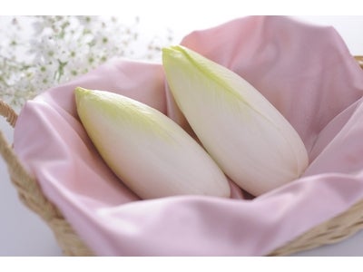 “身体想い”、“季節を感じる”由庵から　ちこり（芋）を使ったお酒『ちこちこ』提供スタート！