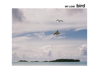 bird 　ニューアルバム　「MY LOVE」　2008年8月6日発売！！