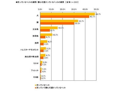 「Alibaba JAPAN」、ペット用品に関する調査　犬・猫保険に関心がある人　約7割