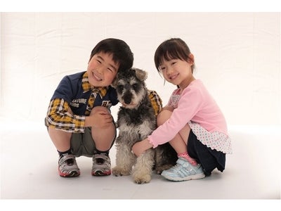 【フジテレビ】ドラマチックサンデー「マルモのおきて」の主題歌 『マル・マル・モリ・モリ！』人気沸騰中！