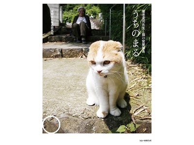 有限会社養老研究所の最新刊!!『うちのまる　養老孟司先生と猫の営業部長』発売！