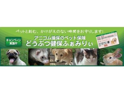 ペットも家族！ペット保険「どうぶつ健保ふぁみりぃ」取扱を開始！！