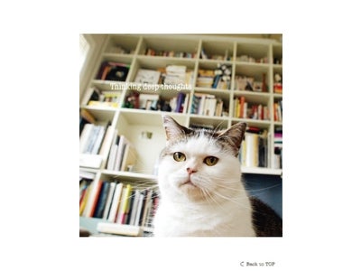 あの不思議顔の猫『まこ』と一緒に英語を学ぶ書籍『まこと学ぶ英語の本』が、iPadアプリになって登場！　 『まこと学ぶ英語の本 for iPad（アルク）』― 2月15日まで、発売記念セールを実施―