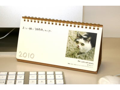 ＜不思議顔の猫「まこ」がカレンダーになりました＞ 『まこと一緒に「猫英語」カレンダー 2010』発売