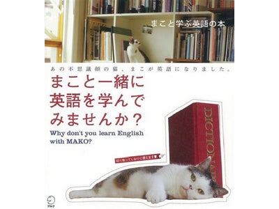 ブログで大人気の“不思議顔の猫、まこ”が英語になりました。