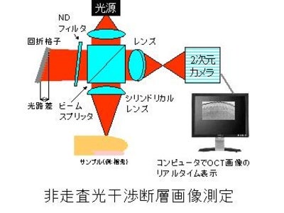 簡単に非走査で2次元カメラが作り出す光干渉断層画像、高速画像化を実現