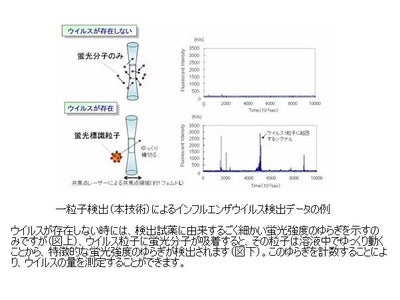 空港検疫、バイオテロ対策向け高感度病原体検出法を開発
