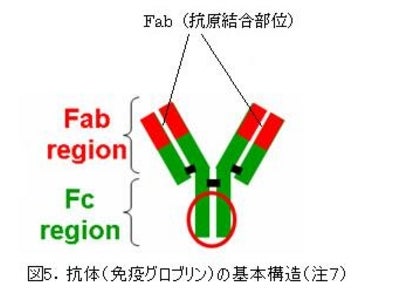 経済性かつ機能性に優れるバイオサーファクタントをリガンドとした新しい抗体分離技術