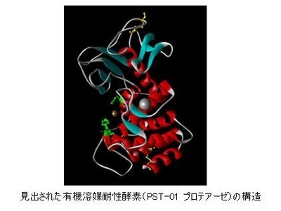 有機溶媒下でも安定して高活性を示す酵素を開発【産技助成Vol.32】