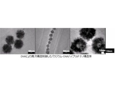 DNAをテンプレートとした金属ナノ構造制御技術による革新的ハイブリッドナノ水素ガスセンサーの開発