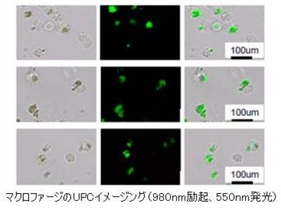 バイオ・ナノフォトニクスのためのUPCナノ粒子の合成と機能化【産技助成Vol.30】
