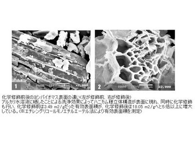 ヨシを原材料とした新規高性能重金属吸着剤を開発～ヨシの循環利用による湿地生態系の保全を目指して～【産技助成Vol.47】