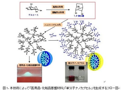 植物由来原料を利用した安全で高性能な医用品・化粧品材料の開発