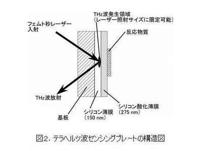 安価な使い捨てタンパク質解析チップの試作に成功