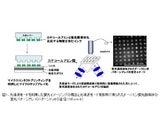 独立行政法人 新エネルギー・産業技術総合開発機構