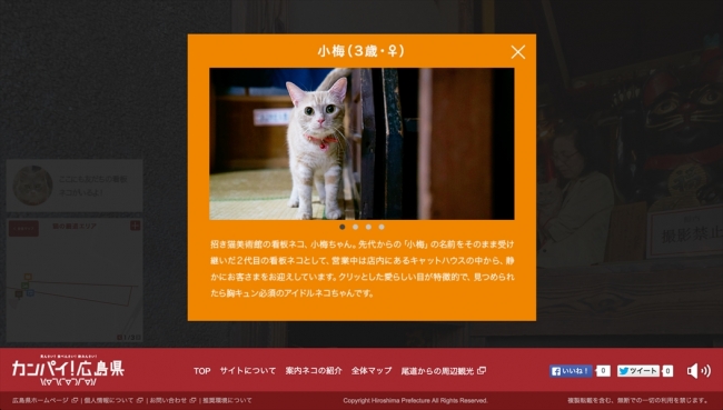 登場する猫のプロフィール紹介も