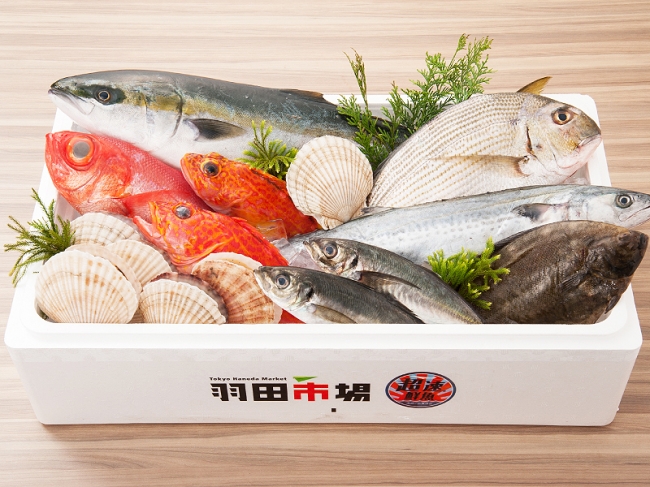 日本各地からの旬の天然鮮魚が超速で店舗に届く