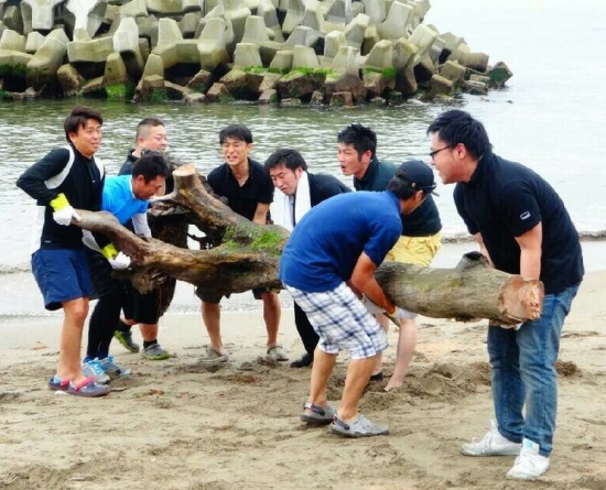 砂浜に打ち上げられた流木は、ノコギリで切り分けた後、8名の手によって撤去しました