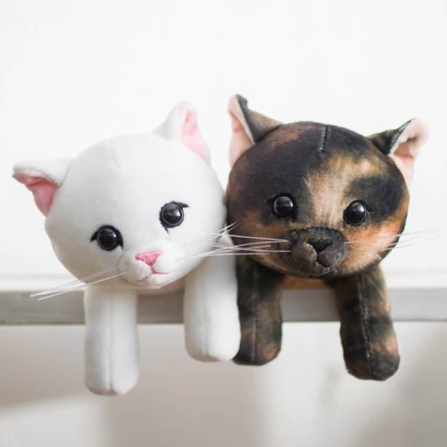  画像左：〈白猫〉、右：〈サビ猫〉