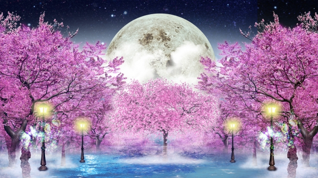 左側壁面イメージ：夜桜と月光」イメージ