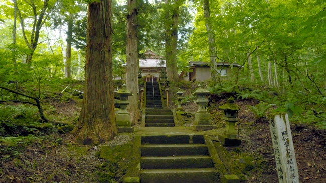 原生林に囲まれた神秘的な隠津島神社
