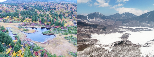 十和田八幡平国立公園と日光国立公園
