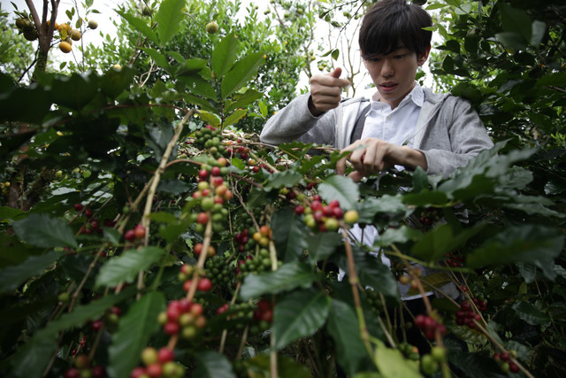 代表の川野が実際に農園まで足を運び、農家と一緒に美味しいコーヒーの生産に取り組みます。
