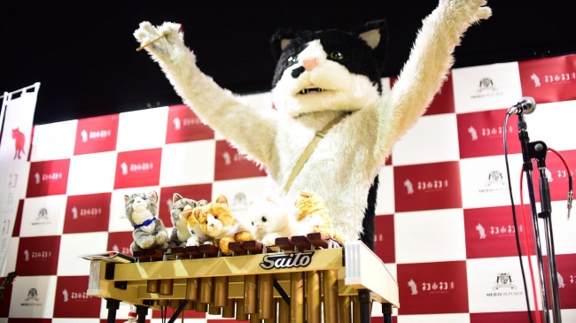 関西 イベント 
 関西最大級ホゴネコイベント「ネコ市ネコ座」パワーアップして神戸KIITOで2月23日,24日開催。にゃんともお得な前売りチケット販売開始！猫商店街、猫セミナー、ねこ縁日など待ち遠しいイベント盛り沢山!