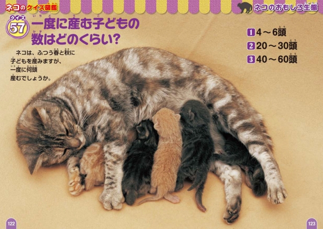 『ネコのクイズ図鑑』