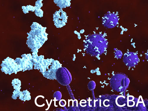 Cytometric CBA法のイメージ図