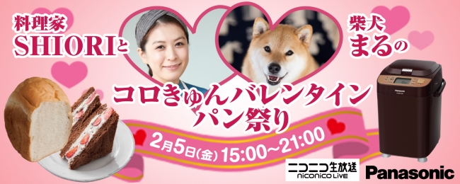 ニコニコ生放送「料理家SHIORIと柴犬まるのコロきゅんバレンタインパン祭り」