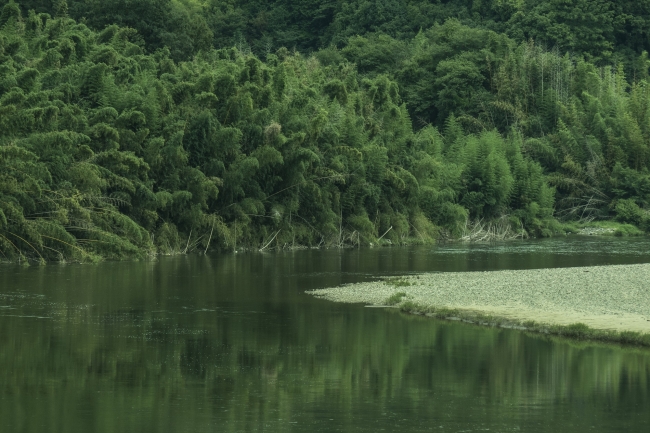 「こどもの笑顔あふれ、自然と歴史ロマンを感じるまち 京都・木津川市写真展」を開催