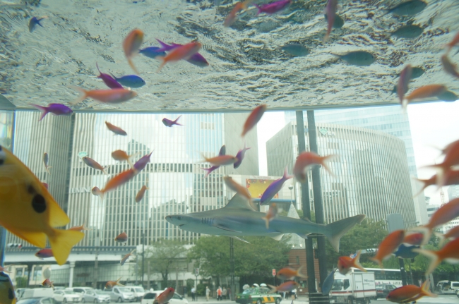 48th Sony Aquarium ソニービルで夏の終わりも遊び尽くす 銀座で美ら海 で写真を投稿して銀座の真ん中で泳ぐ魚達を共有しよう Straight Press ストレートプレス