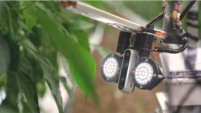 農作物をカメラで画像認識して自動収穫するロボット