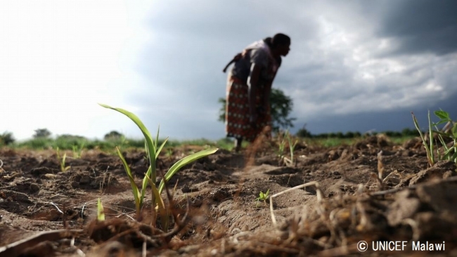 畑仕事をする女性。（マラウィ）© UNICEF Malawi
