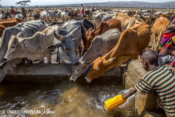 給水タンクに水を汲む少年と水を飲む家畜。© UNICEF_UN011589_Ayene