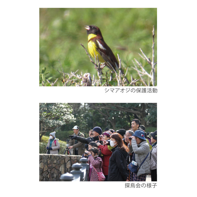 公益財団法人 日本野鳥の会