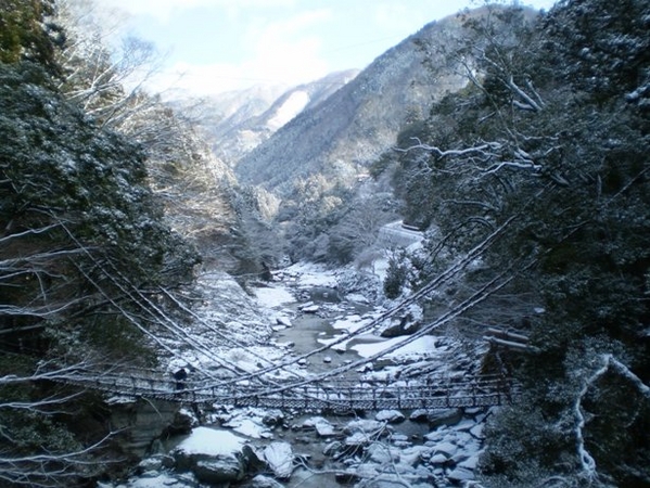 徳島県の「かずら橋」