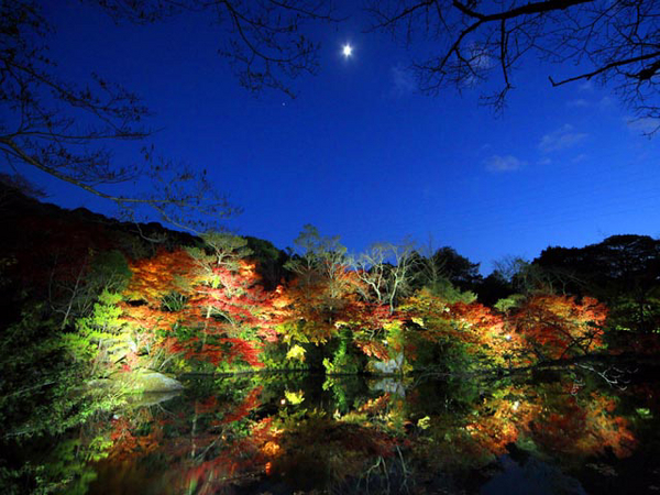武雄温泉の逆さ紅葉が幻想的と人気急上昇！ 佐賀県