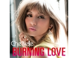 シェネル「♪あきらめないキミが好き．．．」、「burn」エナジードリンクのTV-CMに初CM出演！キャンペーンソング「バーニング・ラヴ」配信スタート！