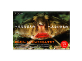 へんてこ生物大集合！　笑えて、しかも為になる（かもしれない）フォトブック！
