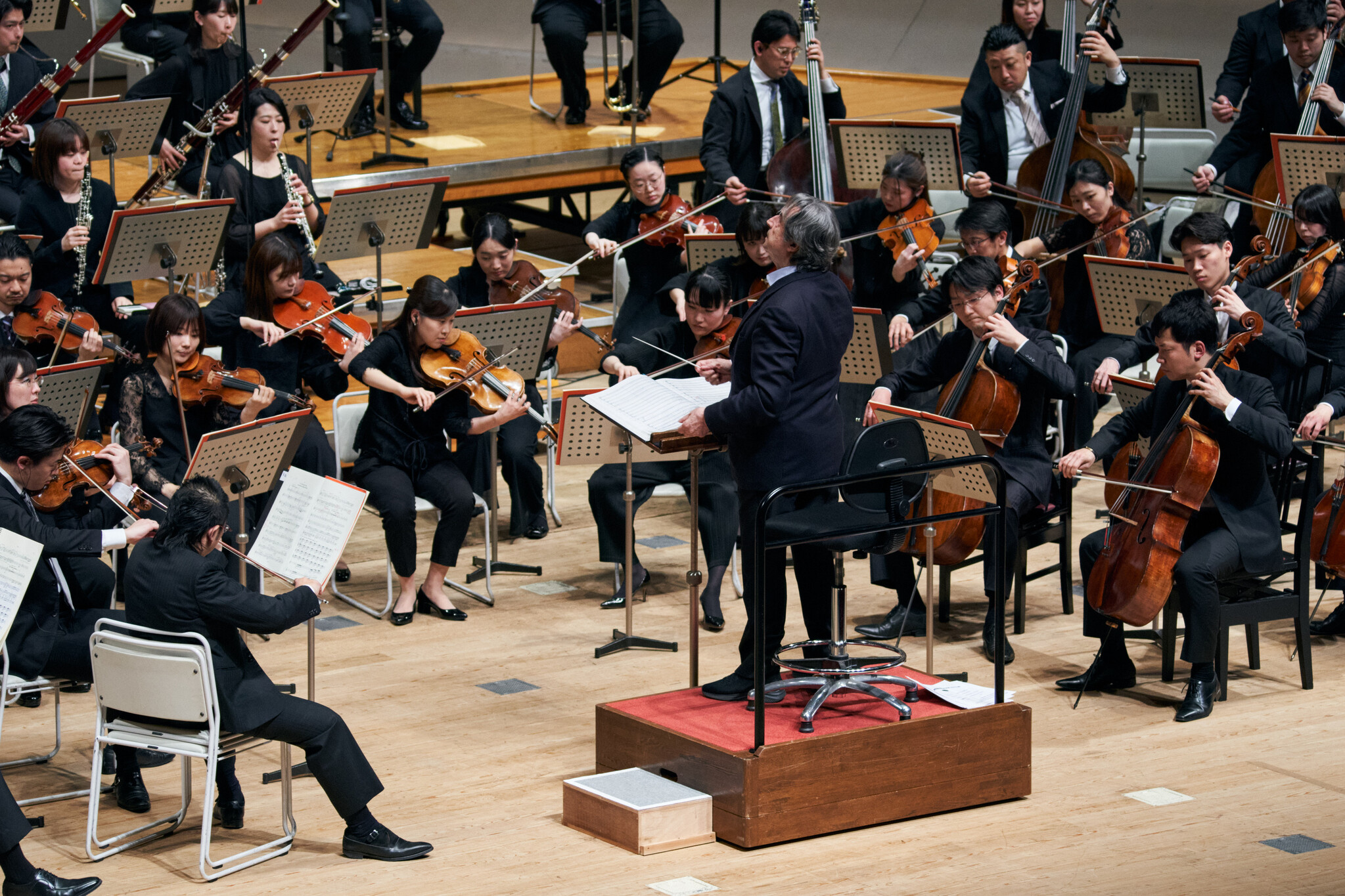 東京春音楽祭2023桜の開花と共に開幕春の訪れを告げる国内最大級のクラシック音楽の祭典東京春音楽祭実行委員会のプレスリリース