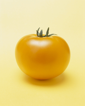 トマト『桃太郎ゴールド』